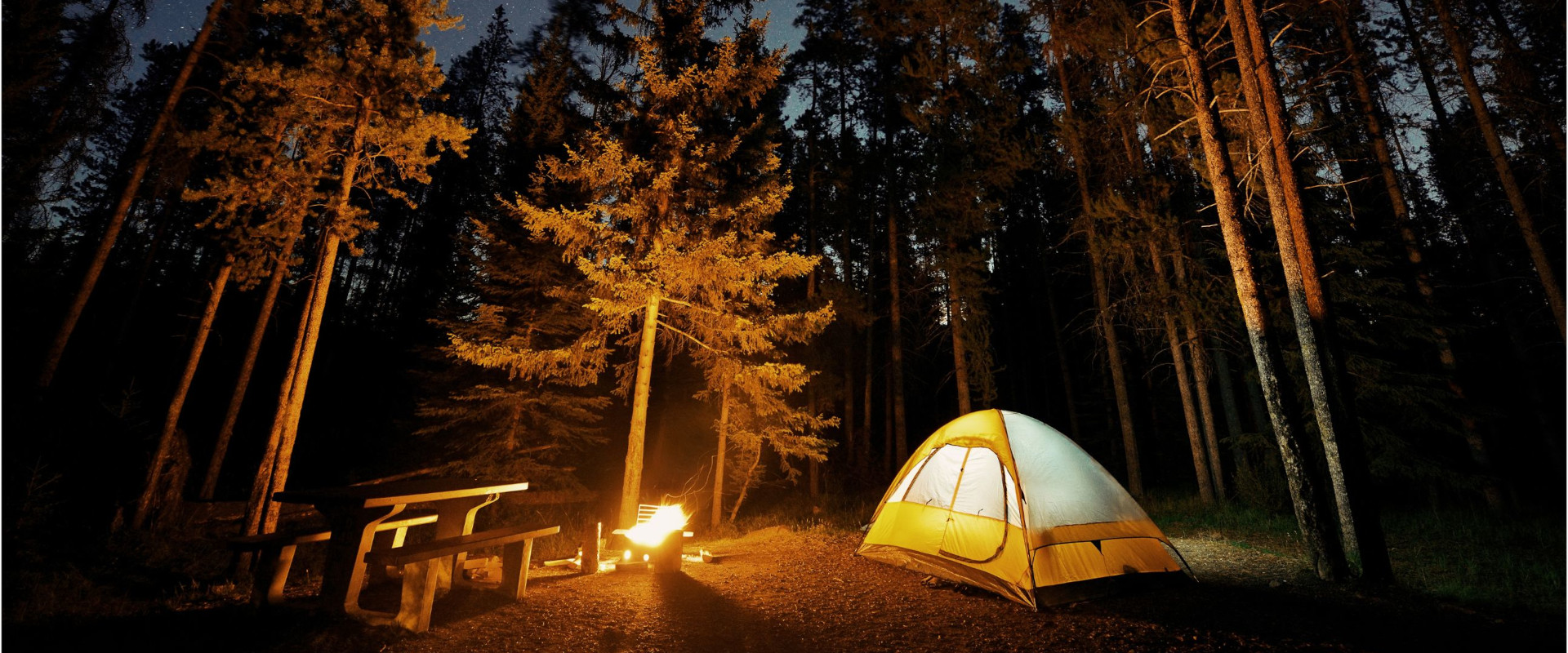 lit camping tent at night in woods